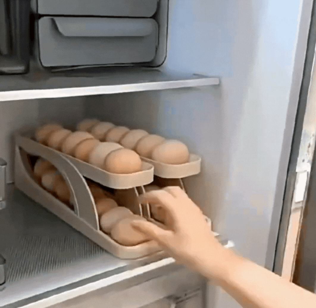 Easy to Operate Egg Organizer